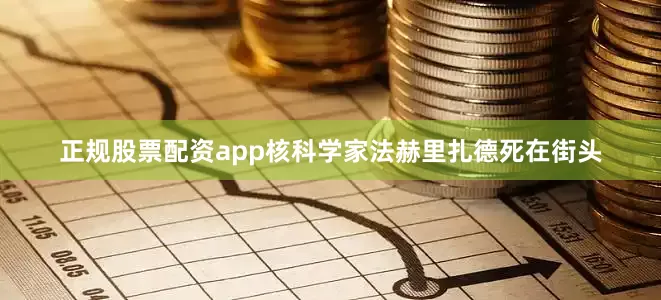 正规股票配资app核科学家法赫里扎德死在街头